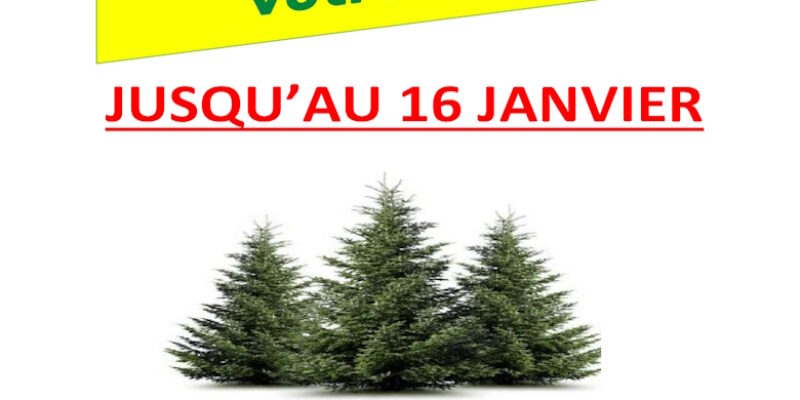 Collecte des sapins